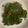 Rosaline Chen 的 干貝醬炒茼蒿 cooksnap