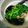 Cooksnap dari Riekaarie untuk resep Sigeumchi Namul 시금치나물 (Salad bayam ala korea)