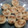El cooksnap de Francisco Fernandez cuando hizo Tortas "Fritas" Horneadas.