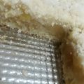 El cooksnap de Pame Grossi cuando hizo Tarta de manzana y pasas de uva.