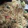Cooksnap dari Ummi Azkiya Fatih untuk resep MIE GORENG JAWA PEDAS #pr_adakecapmanisnya