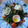 El cooksnap de Veronika Rocha cuando hizo Espinacas salteadas con mozzarella.