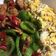 Gabrielle 的 青椒炒肉片 cooksnap