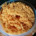 Cooksnap dari Dwi Aprilia untuk resep Kremesan Bersarang