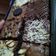 Cooksnap dari Anita Kumalasari untuk resep Melted brownies