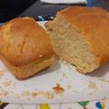 El cooksnap de Daia Vent cuando hizo Budín.