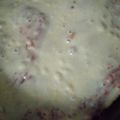 El cooksnap de Yaqueline Lusardo cuando hizo Pizza en 30 minutos.