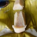 Cooksnap dari Anthy untuk resep Barongko