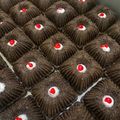 Cooksnap dari ika setiawati untuk resep Blackforest Mini kukus🍒 | Bolu kukus Blackforest