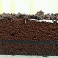 Cooksnap dari Dewi Soerya untuk resep Brownies kukus ny. Liem