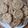 kathosaurus's cooksnap of when they made Vegane Chocolate Chip Cookies.