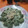 El cooksnap de Monica Osán cuando hizo Ñoquis de Espinaca con Tuco.