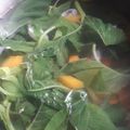 Cooksnap dari nury untuk resep Bening Bayam Wortel (tips biar bayam hijau cantik)
