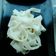 Cooksnap dari uci80 untuk resep Mie Kwetiau Homemade (free gluten)