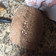 El cooksnap de Denisse Jofré González cuando hizo Pan integral con chía y linaza.