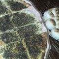 صورة من عاشقة الاقصى، شاركها بعد تجربة وصفة مناقيش وفطاير  عالغاز