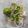 Jigisha Modi's cooksnap of when they made ધાબા સ્ટાઇલ લચ્છા ઓનિયન સલાડ (Laccha Onion Salad Recipe In Gujar.