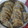Cooksnap dari Bertha untuk resep Gyoza Jepang / Mandu Korea