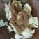 Cooksnap dari tutie ichwani untuk resep Salak Pliek U Khas Pidie Jaya