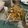 Cooksnap dari riana wulandari untuk resep Kwetiau goreng ayam ala Solaria
