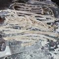 El cooksnap de derlis cuando hizo Fideos Caseros.