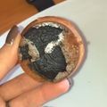 Petra Bohus Cooksnap-ja, amikor elkészítette a(z) Oreo muffin🧁 receptet.