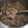 El cooksnap de Carolina Rodriguez Campello cuando hizo Carrilladas en salsa.