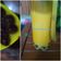 Cooksnap dari zuniatul yuta untuk resep Boba Simple Enak