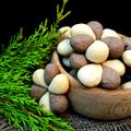 کوک اسنپ دلارام بعد از امتحان کردن بیسکوییت های بای.
