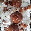 El cooksnap de Sofi cuando hizo Dulce de leche con leche condensada en olla rápida.