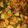 nandini modi's cooksnap of when they made Aloo Shimla mirch.