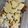 El cooksnap de marielaibarra_carp cuando hizo Galletitas de harina de maíz 🌽.