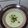 Judy Lin 的 茶碗蒸 cooksnap