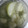 El cooksnap de Juan cuando hizo Pepino encurtido casero.