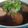 รูป Cooksnap ของ ครัวแล้วแต่อั๋น Dr.อั๋น Cuisine เมื่อเขาทำ ไก่ต้มน้ำปลา