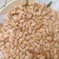 Cooksnap dari Dewi Anggraeny untuk resep Kacang Bawang Renyah (kering tidak berminyak)