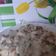 Istvánné Vaskó Cooksnap-ja, amikor elkészítette a(z) Tejszínes zöldborsós sertéscomb 🍖🍃 receptet.