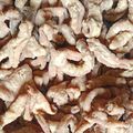 Cooksnap dari nandya pramitha sari untuk resep Usus Ayam Crispy / Keripik Usus Kriuk Awet +tips