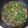 Cooksnap dari Evasari Hutasoit untuk resep Sayur tumis caisim / sawi hijau simpel