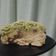 Cooksnap dari amalia ramadhini untuk resep Matcha Crumble Banana Bread