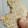 El cooksnap de Milonga de cuarentena cuando hizo GALLETITAS DE AVENA Y SEMILLAS.🍪🌾.