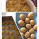 Cooksnap dari Susi Susanti untuk resep Nastar