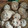 Cooksnap dari amaryanti.kitchen untuk resep Cinnamon Chocochips Cookies Renyah Recomended