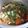 Cooksnap Erin Naomei semasa beliau membuat Mix Vege with Oyster sauce.
