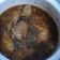Cooksnap dari enggusti novisa alverea untuk resep Semur Ayam Tahu