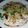Shweta Shah's cooksnap of when they made દહીંવડા (Dahiwada Recipe In Gujarati).