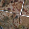Jyoti Sinha 's cooksnap of when they made Aloo bathuwa paratha.
