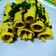anupama johri का कुकस्नैप जब उन्होंने खांडवी (Khandvi recipe in Hindi) बनाया था।