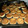 El cooksnap de Sheila Janecek cuando hizo Bizcochitos de grasa! ☺.