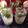 Silpi Mridha's cooksnap of when they made ভার্জিন মোজিতো (vergine mojito recipe in bengali).